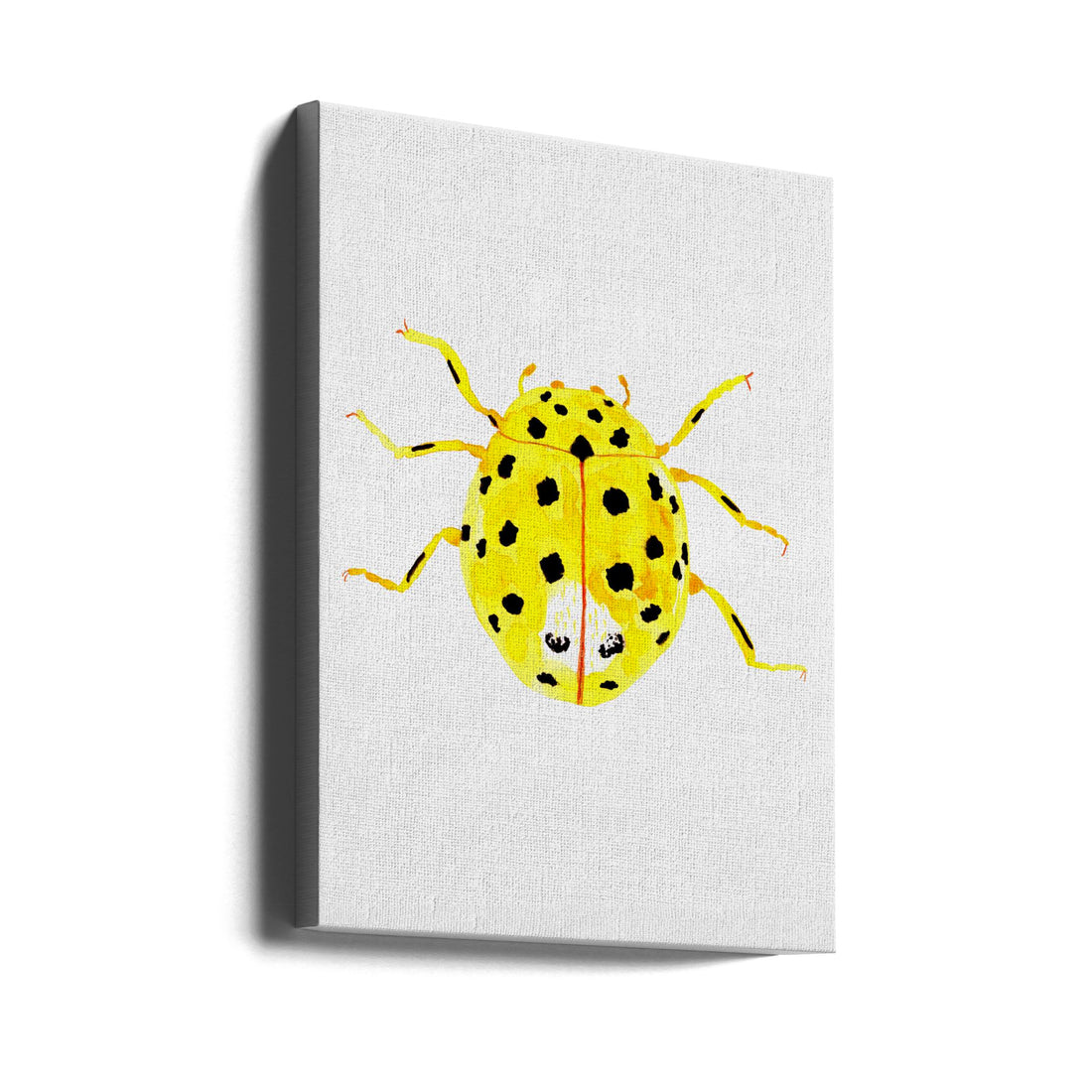 22-spot Ladybird by Kata Botanical | Watercolor Insect Illustration, Large Canvas Wall Art Print | Artsy Earth