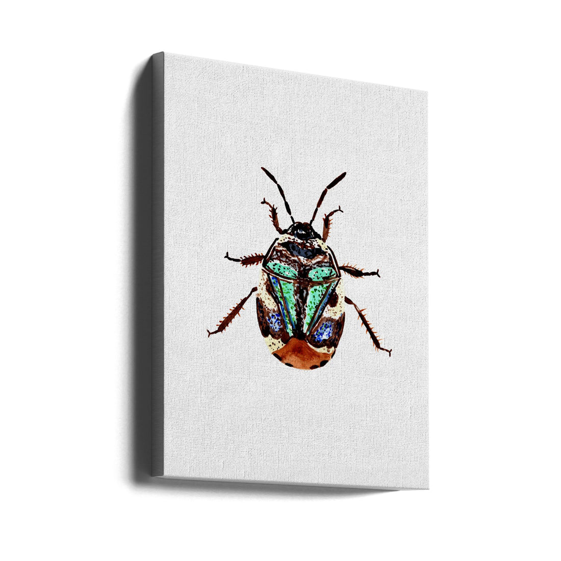 Pied Shield Bug by Kata Botanical | Watercolor Insect Illustration, Large Canvas Wall Art Print | Artsy Earth