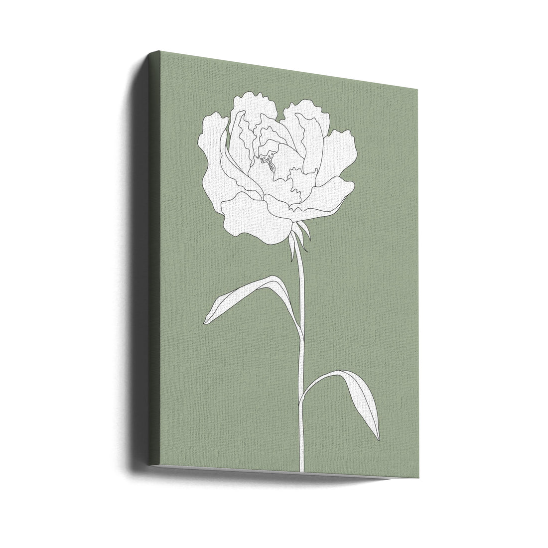 Rose in Green by Pictufy Studio Ii | Botanical Line Art, Large Canvas Wall Art Print | Artsy Earth