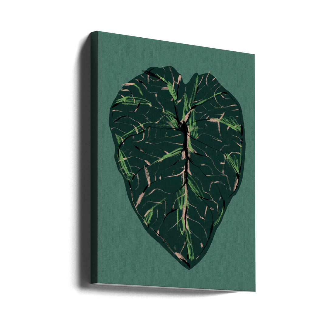 Alocasia Melo Dark by Francesco Gulina | Botanical Plant Illustration, Large Canvas Wall Art Print | Artsy Earth