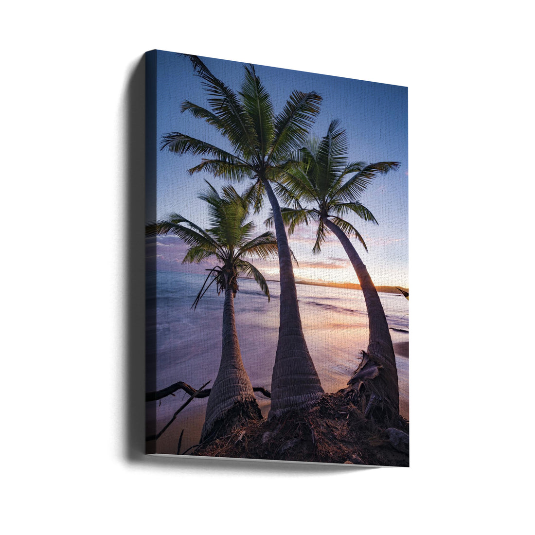 Palmy Twilight by Stefan Hefele | Tropical Beach Sunset, Large Canvas Wall Art Print | Artsy Earth