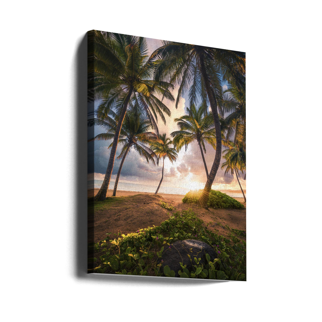 Vertical Paradise by Stefan Hefele | Tropical Beach Landscape, Large Canvas Wall Art Print | Artsy Earth