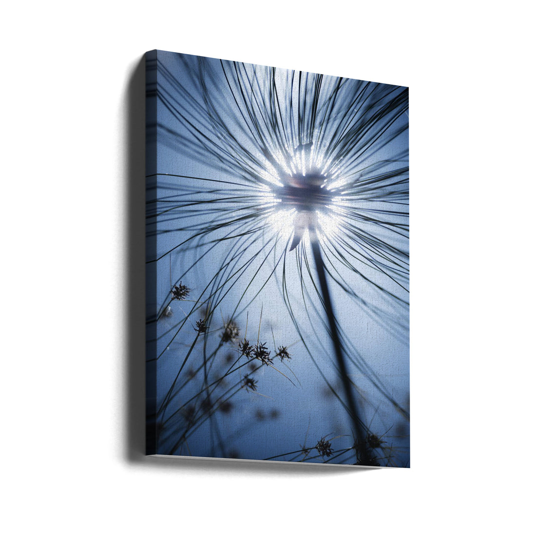 Botanic Blue by Stefan Hefele | Botanical Garden Macro, Large Canvas Wall Art Print | Artsy Earth