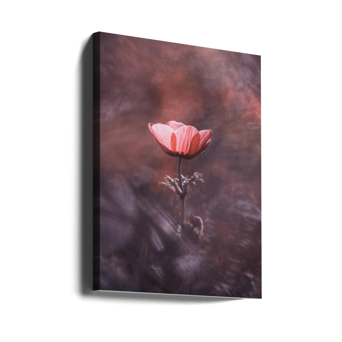 Floral Poppy Art by Fabien Bravin | Botanical Flower Painting, Large Canvas Wall Art Print | Artsy Earth