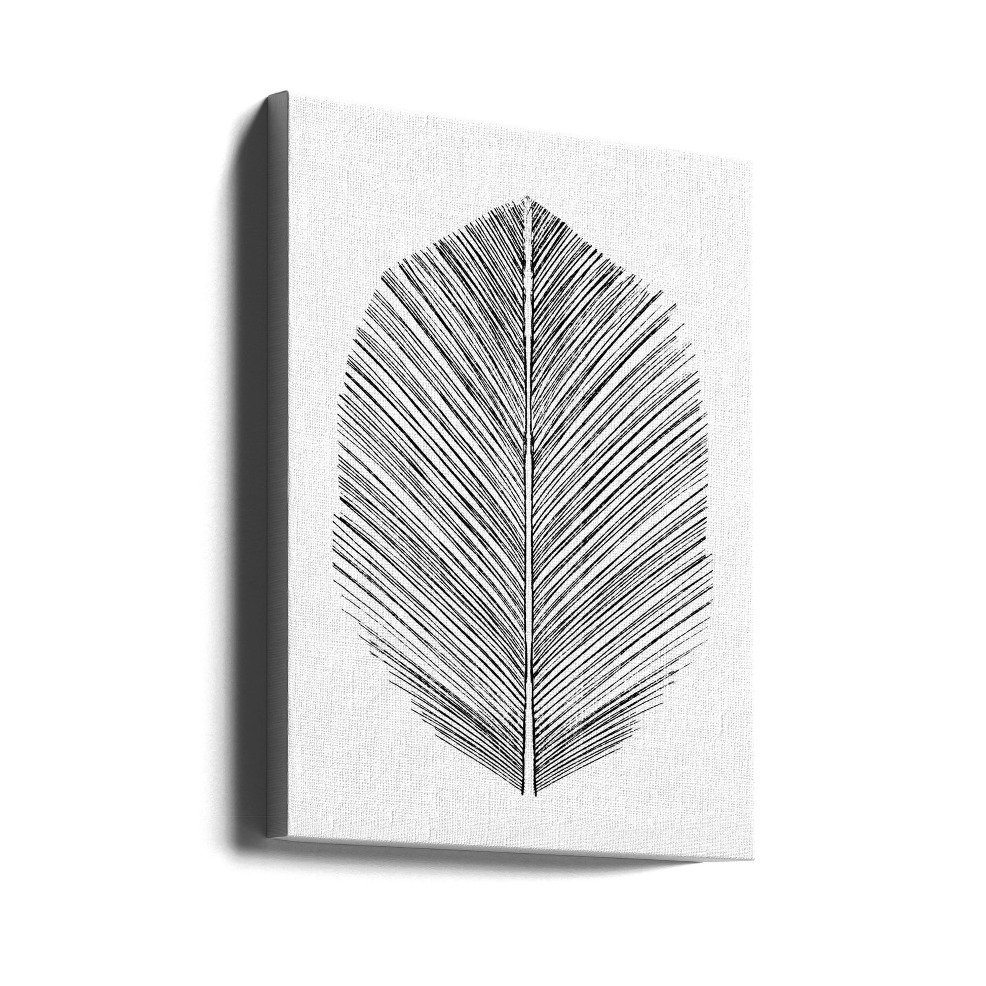 Minimal Feather Art by Dan Hobday | Black And White Abstract, Large Canvas Wall Art Print | Artsy Earth