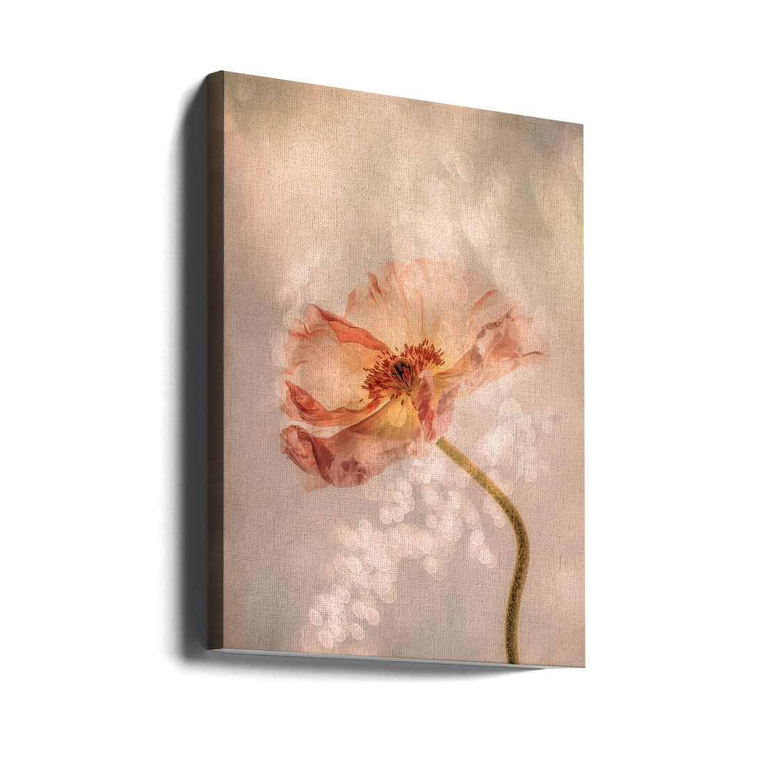 Radiant Poppy by Hilda Van Der Lee | Vintage Floral Botanical, Large Canvas Wall Art Print | Artsy Earth