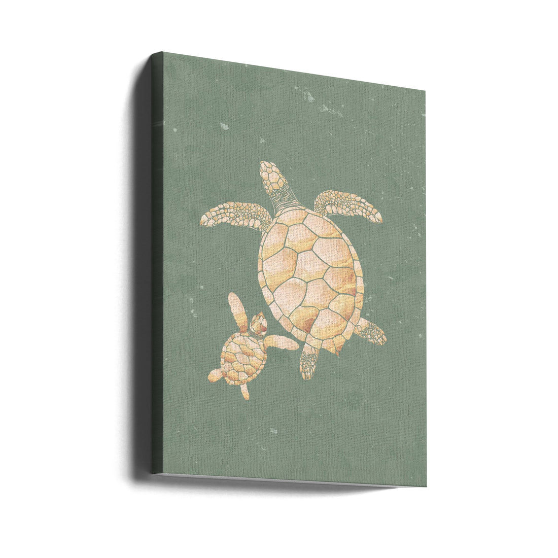 Gold Sage Green Turtles by Sarah Manovski | Wildlife Nature Illustration, Large Canvas Wall Art Print | Artsy Earth