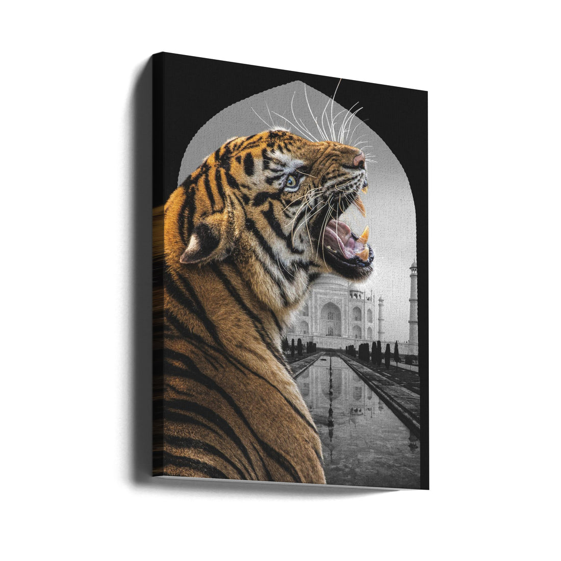 Bengali Tiger Stare by Fadil Roze | Wild Bengal Wildlife, Large Canvas Wall Art Print | Artsy Earth