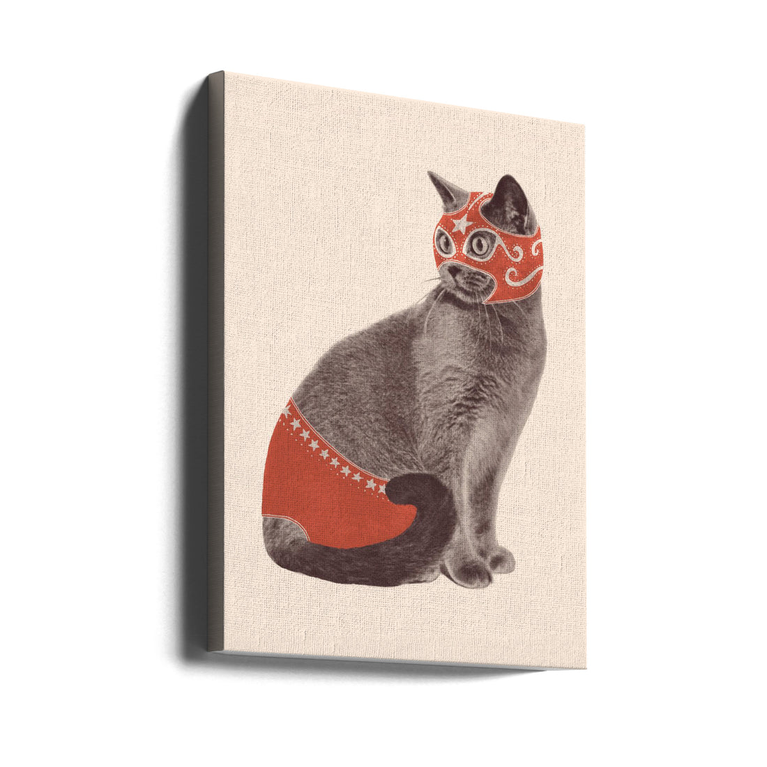 Funny Cat Wrestler by Florent Bodart | Humorous Pet Illustration, Large Canvas Wall Art Print | Artsy Earth