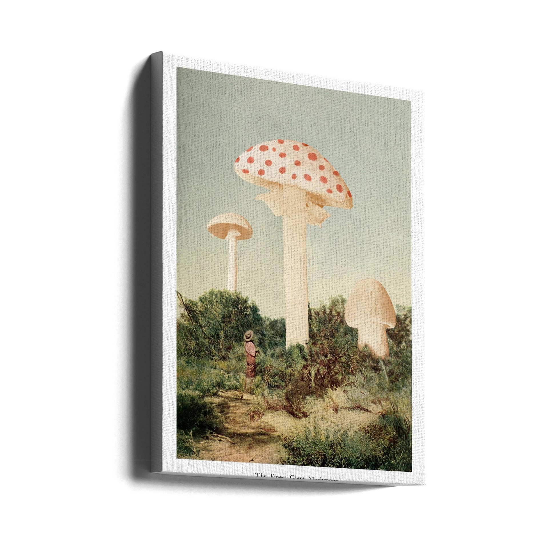 The Finest Giant Mushroom by Florent Bodart | Surreal Mushroom Illustration, Large Canvas Wall Art Print | Artsy Earth