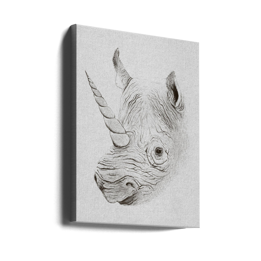 Wild Rhino Art by Florent Bodart | Black And White Wildlife, Large Canvas Wall Art Print | Artsy Earth