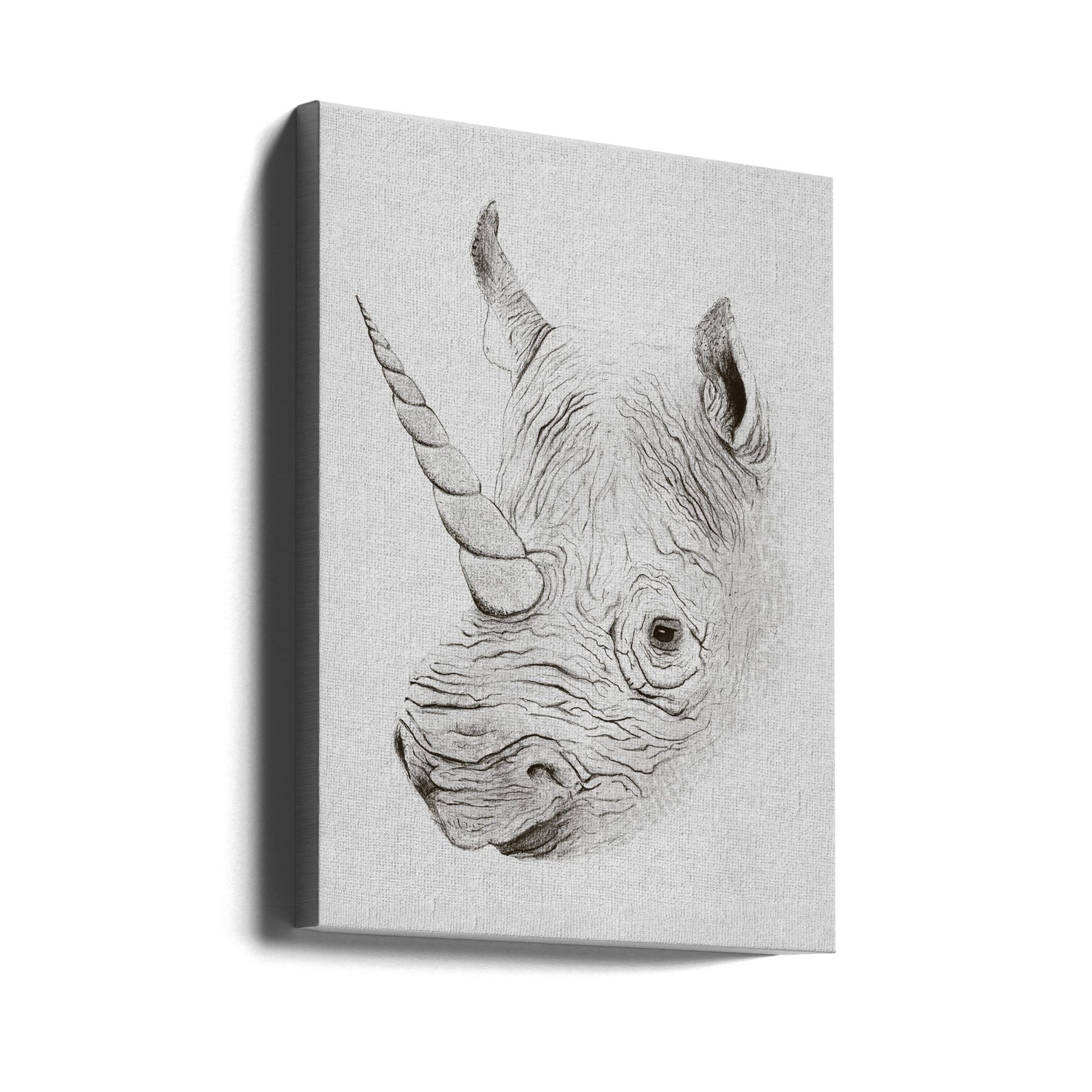 Wild Rhino Art by Florent Bodart | Black And White Wildlife, Large Canvas Wall Art Print | Artsy Earth