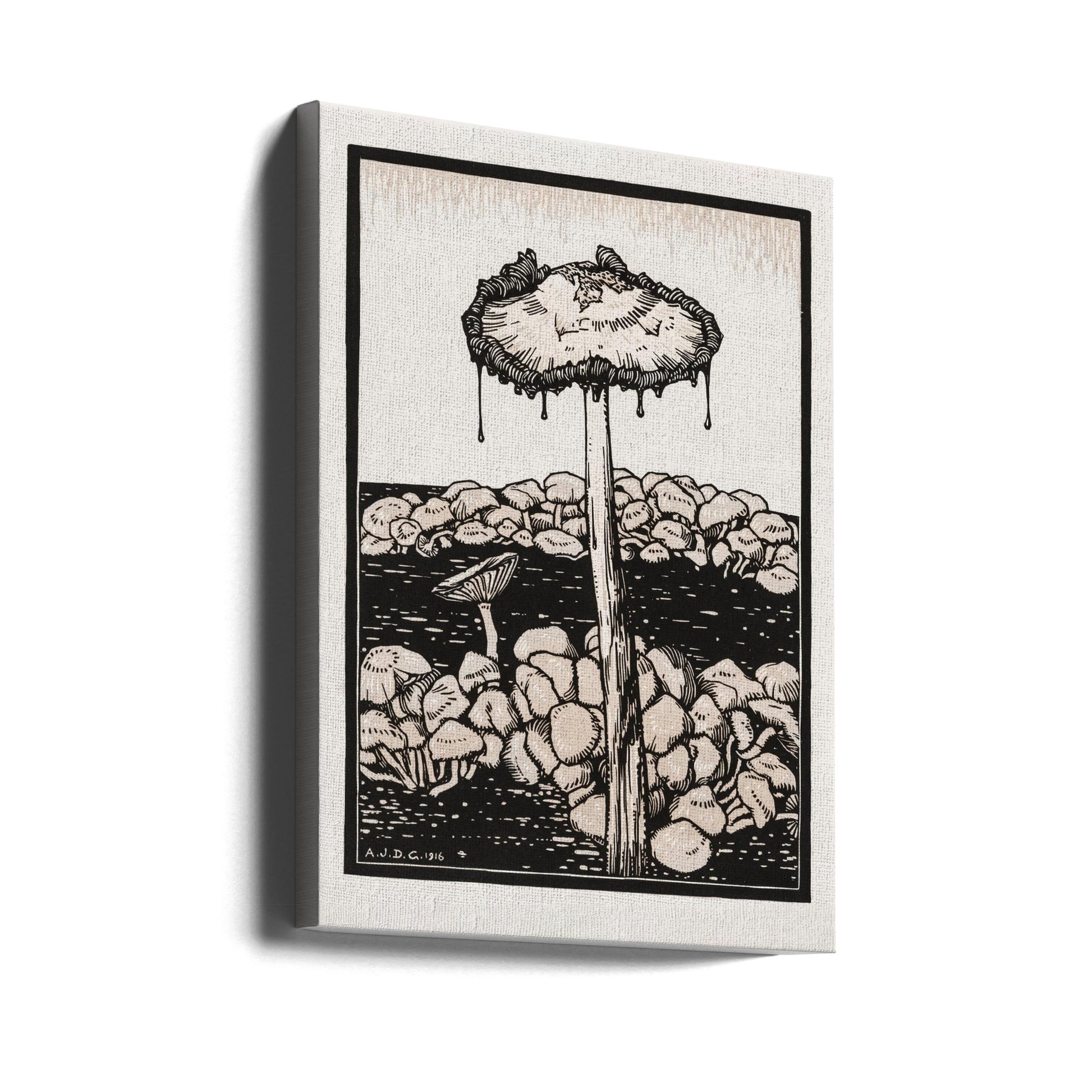 Dripping Mushroom by Julie De Graag | Vintage Botanical Drawing, Large Canvas Wall Art Print | Artsy Earth