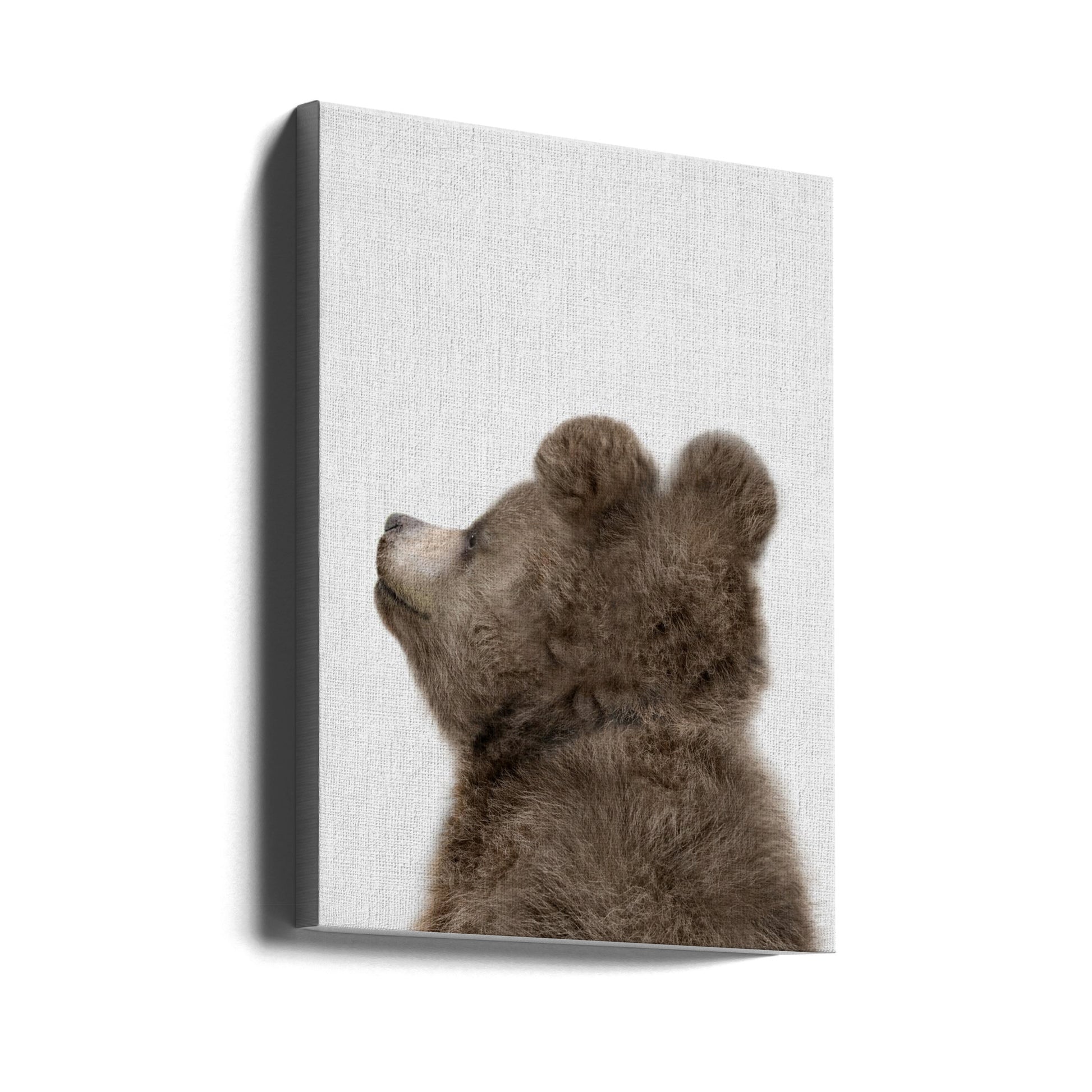 Peekaboo Baby Bear by Lola Peacock | Cute Baby Bear, Large Canvas Wall Art Print | Artsy Earth