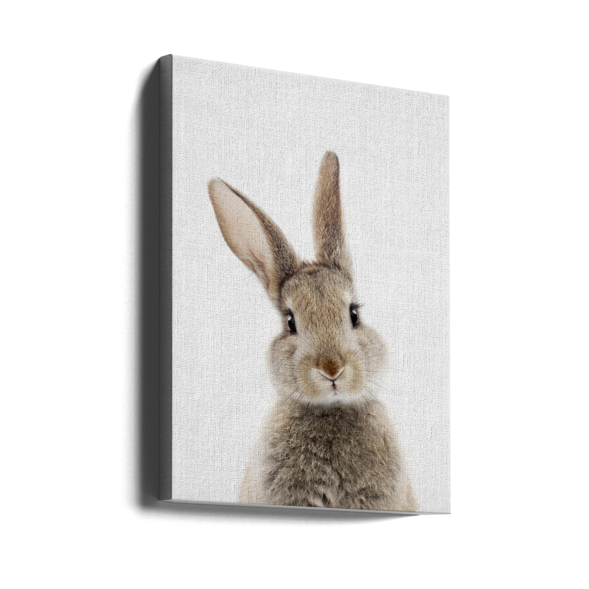 Peekaboo Bunny by Lola Peacock | Cute Nursery Animal, Large Canvas Wall Art Print | Artsy Earth