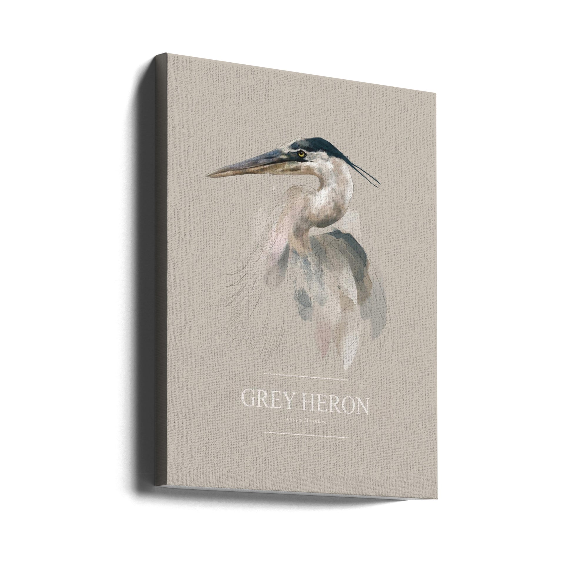 Grey Heron by Gabriella Roberg | Abstract Bird Illustration, Large Canvas Wall Art Print | Artsy Earth