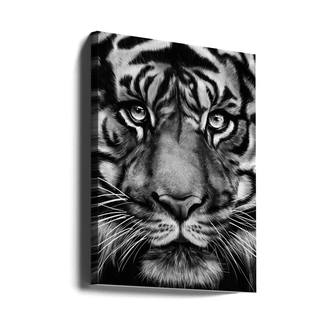 Tiger Portrait by Gabriella Roberg | Black And White Wildlife, Large Canvas Wall Art Print | Artsy Earth