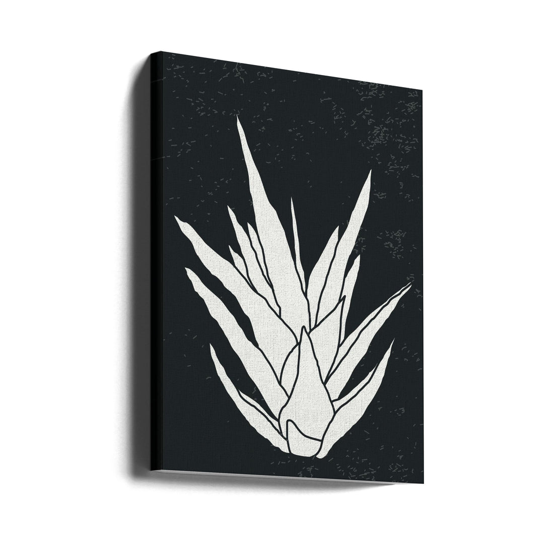 Agave Plant Art by Jay Stanley | Botanical Line Art, Large Canvas Wall Art Print | Artsy Earth