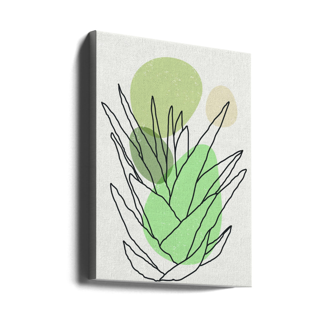 Color Abstract Agave by Jay Stanley | Botanical Line Art, Large Canvas Wall Art Print | Artsy Earth