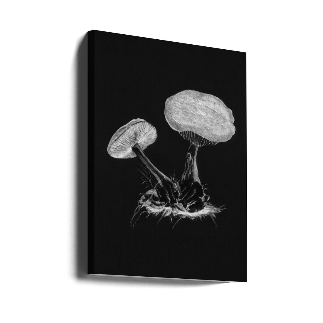 Vintage Violet Webcap by Biodiversity Heritage Library | Dark Monochrome Fungi, Large Canvas Wall Art Print | Artsy Earth