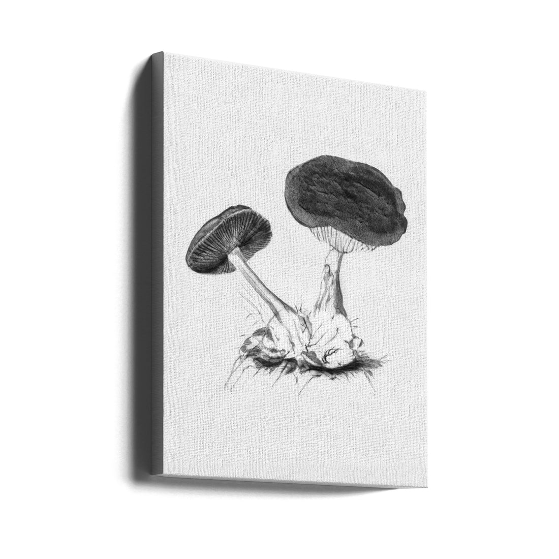 Vintage Violet Webcap Mushroom by Biodiversity Heritage Library | Vintage Hand Drawn Fungi, Large Canvas Wall Art Print | Artsy Earth