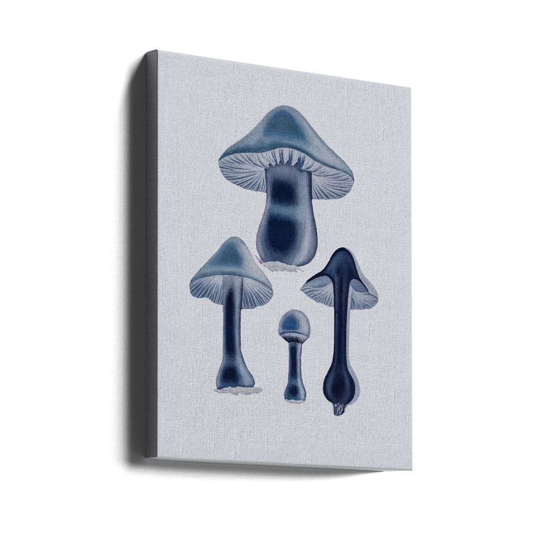 Agaricus Bulbosus Blue by John Stephenson And James Morss Churchill | Vintage Mushroom Texture, Large Canvas Wall Art Print | Artsy Earth