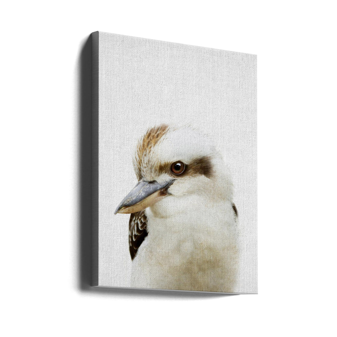 Peekaboo Kookaburra by Lola Peacock | Cute Bird Portrait, Large Canvas Wall Art Print | Artsy Earth