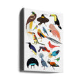 Birds of Paradise by Hanna Melin | Colorful Wildlife Art, Large Canvas Wall Art Print | Artsy Earth