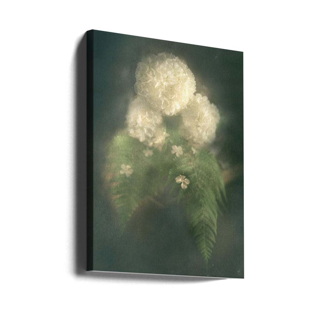 Dark Floral Dream by Elisabeth Van Helden | Vintage Botanical Still Life, Large Canvas Wall Art Print | Artsy Earth