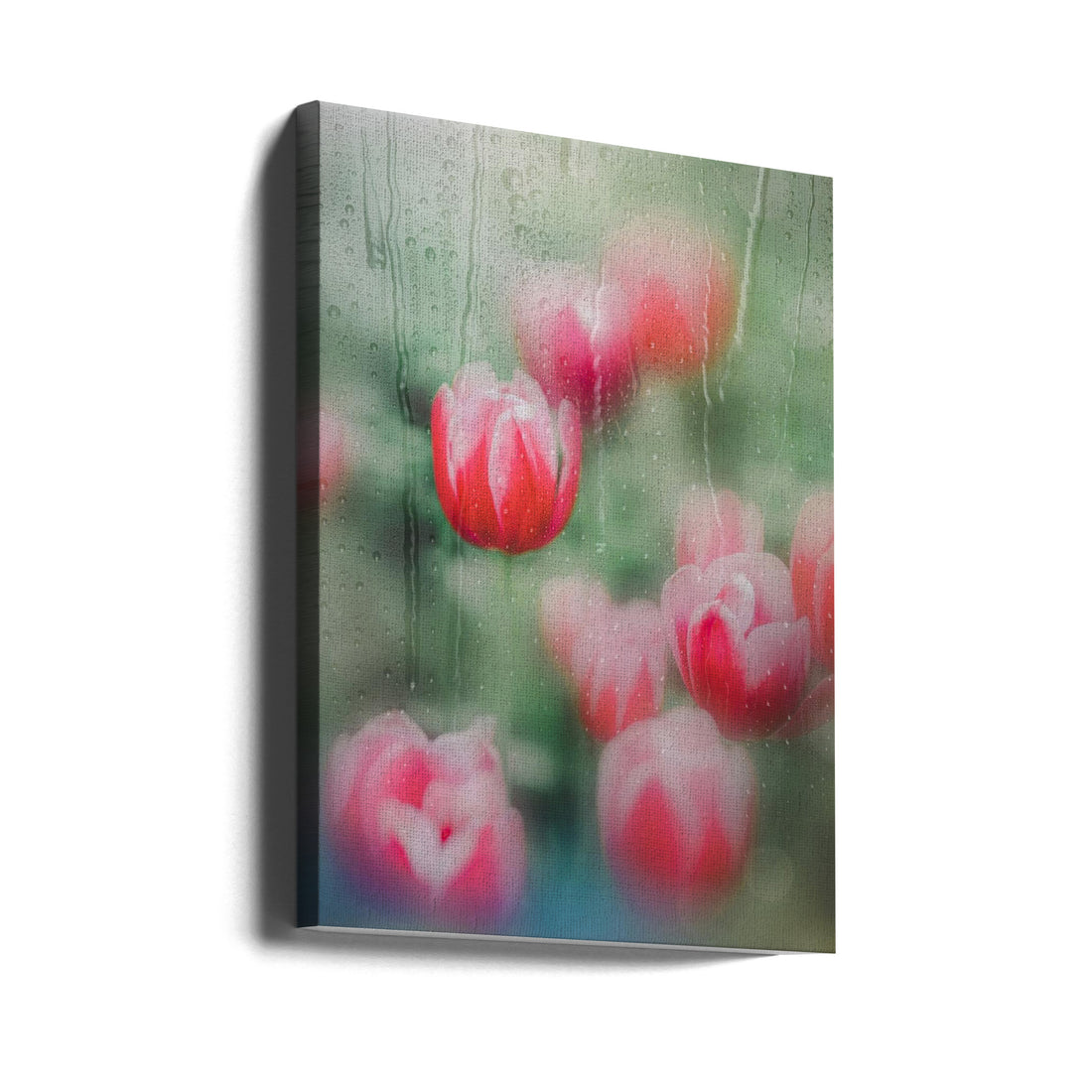 Tulips Grace by Youngil Kim | Wet Pink Petals, Large Canvas Wall Art Print | Artsy Earth