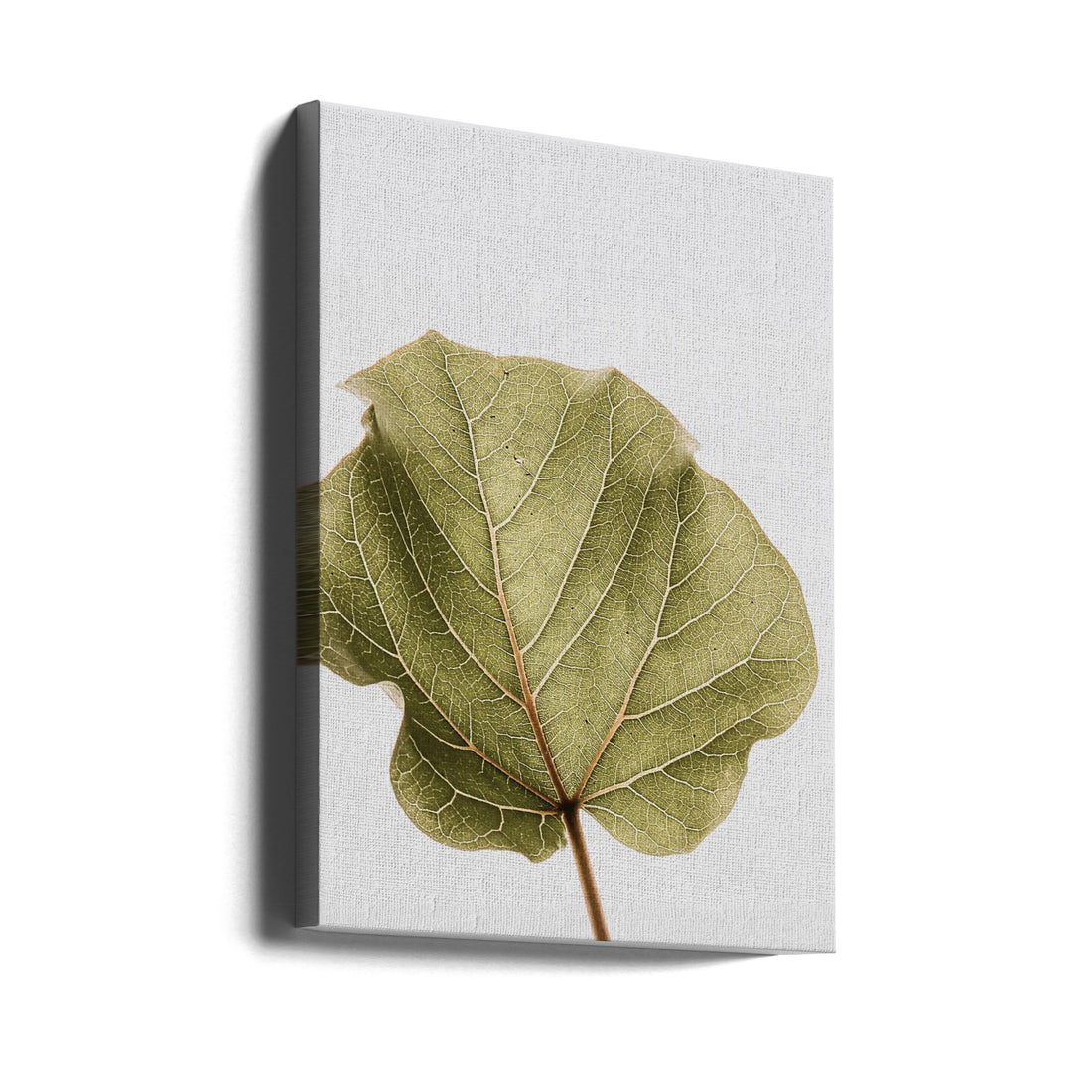 Green Leaf Study by Shot By Clint | Close-up Still Life, Large Canvas Wall Art Print | Artsy Earth