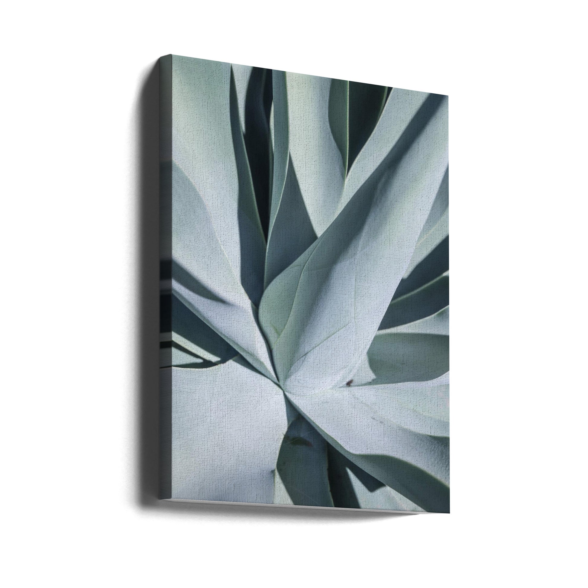 Aqua Cactus by Shot By Clint | Botanical Succulent Pattern, Large Canvas Wall Art Print | Artsy Earth