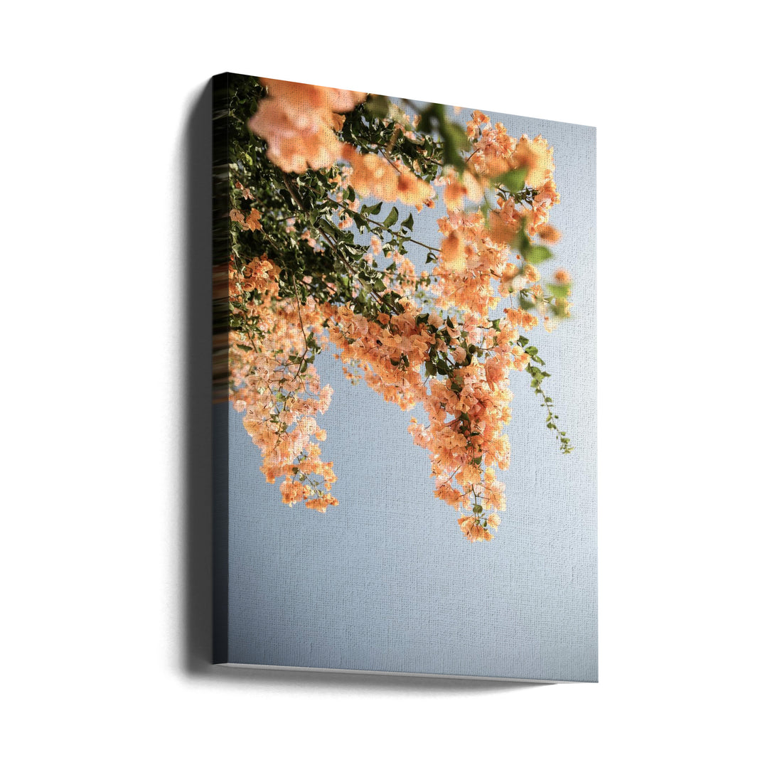 Assos Blooms by Shot By Clint | Pink Floral Botanical, Large Canvas Wall Art Print | Artsy Earth