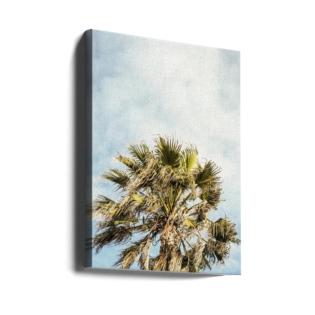 Breezy Palm Trees by Shot By Clint | Tropical Palm Landscape, Large Canvas Wall Art Print | Artsy Earth