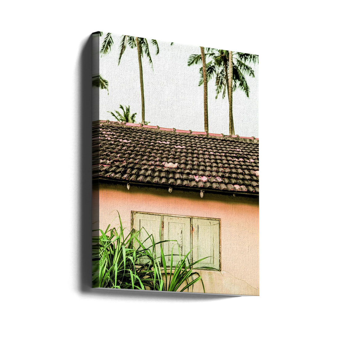 Cabin Fever by Shot By Clint | Tropical Palm House, Large Canvas Wall Art Print | Artsy Earth