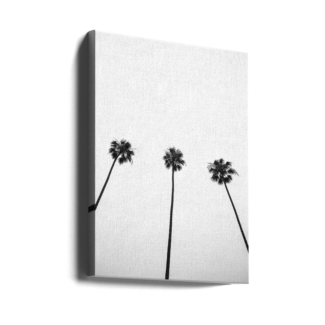 Cali Cathedrals by Shot By Clint | Tropical Palm Landscape, Large Canvas Wall Art Print | Artsy Earth