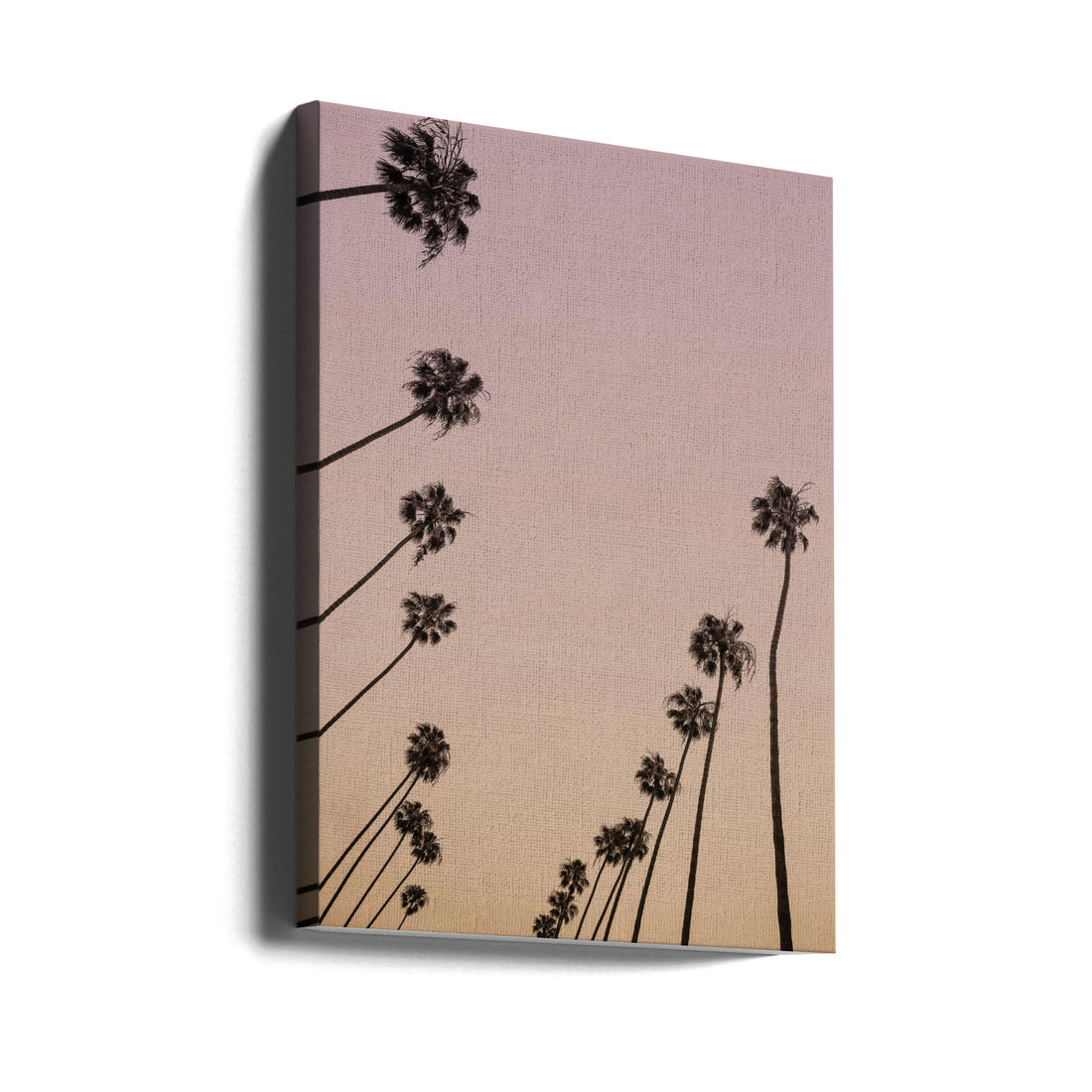 Cali Cathedrals 05 by Shot By Clint | Tropical Palm Landscape, Large Canvas Wall Art Print | Artsy Earth