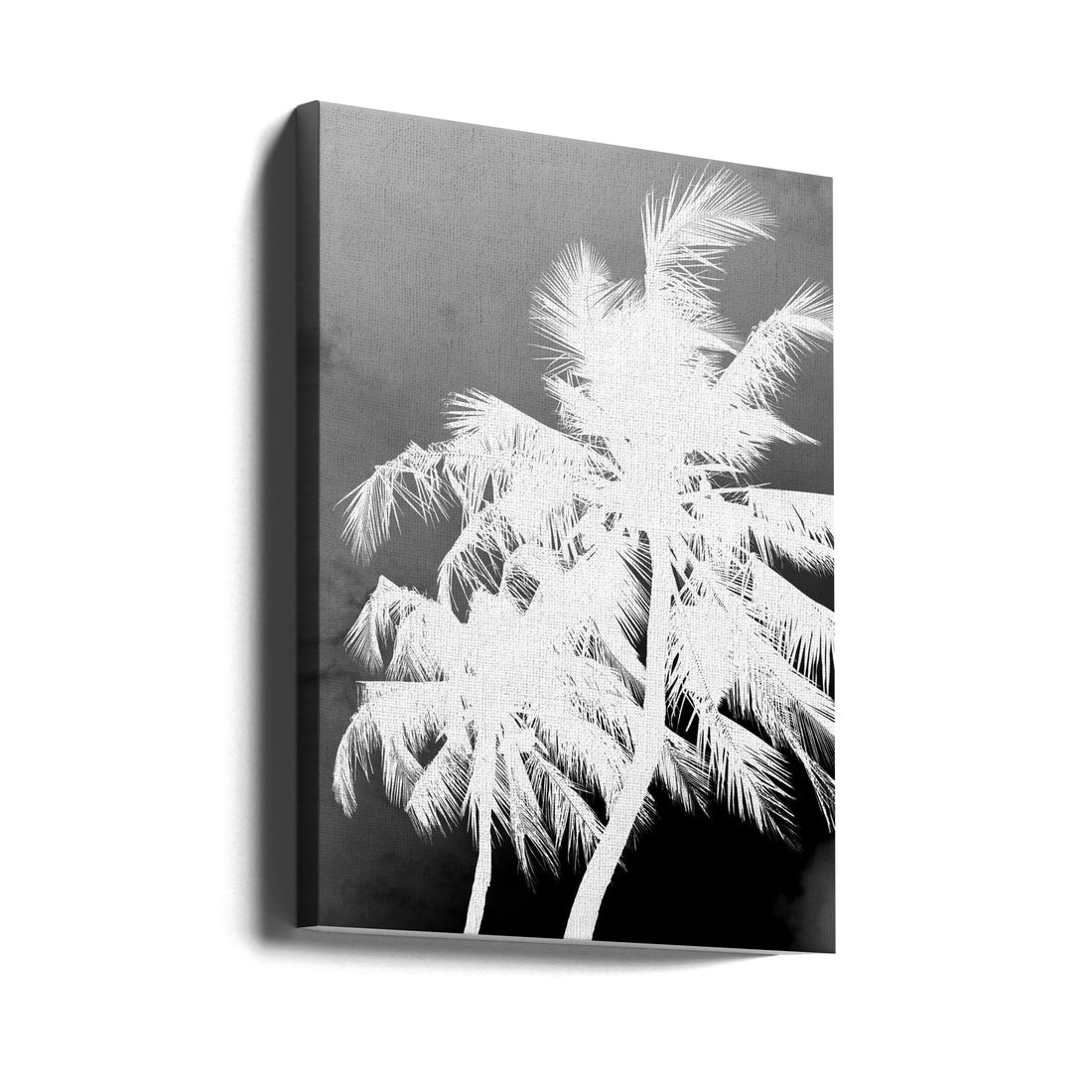 Coco Island No1 by Shot By Clint | Tropical Palm Landscape, Large Canvas Wall Art Print | Artsy Earth