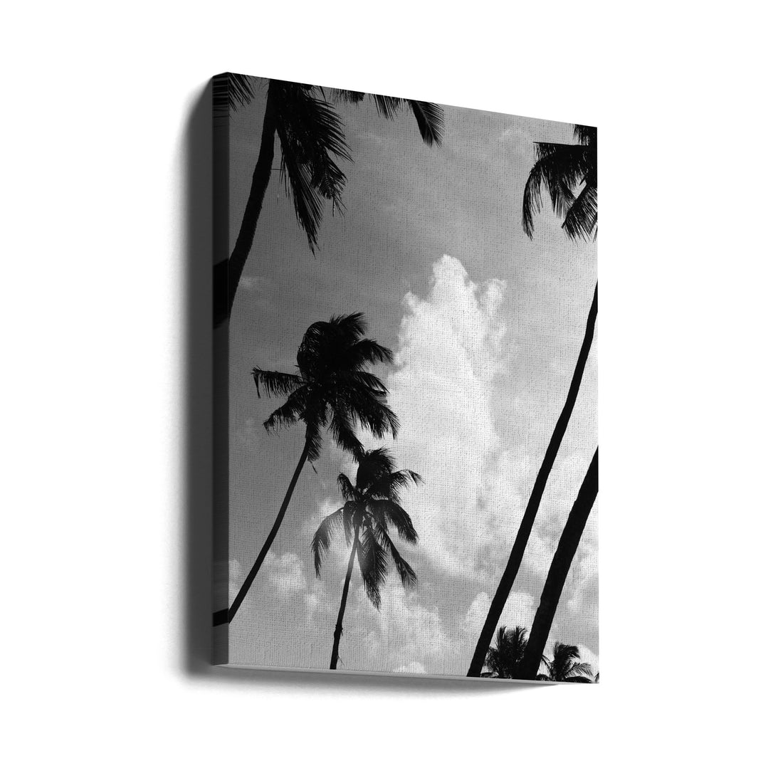 Coco Island No2 by Shot By Clint | Tropical Palm Silhouette, Large Canvas Wall Art Print | Artsy Earth