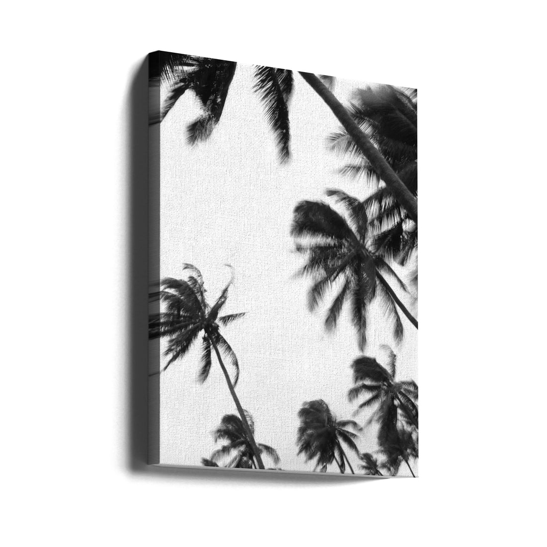 Coco Island No3 by Shot By Clint | Tropical Palm Landscape, Large Canvas Wall Art Print | Artsy Earth