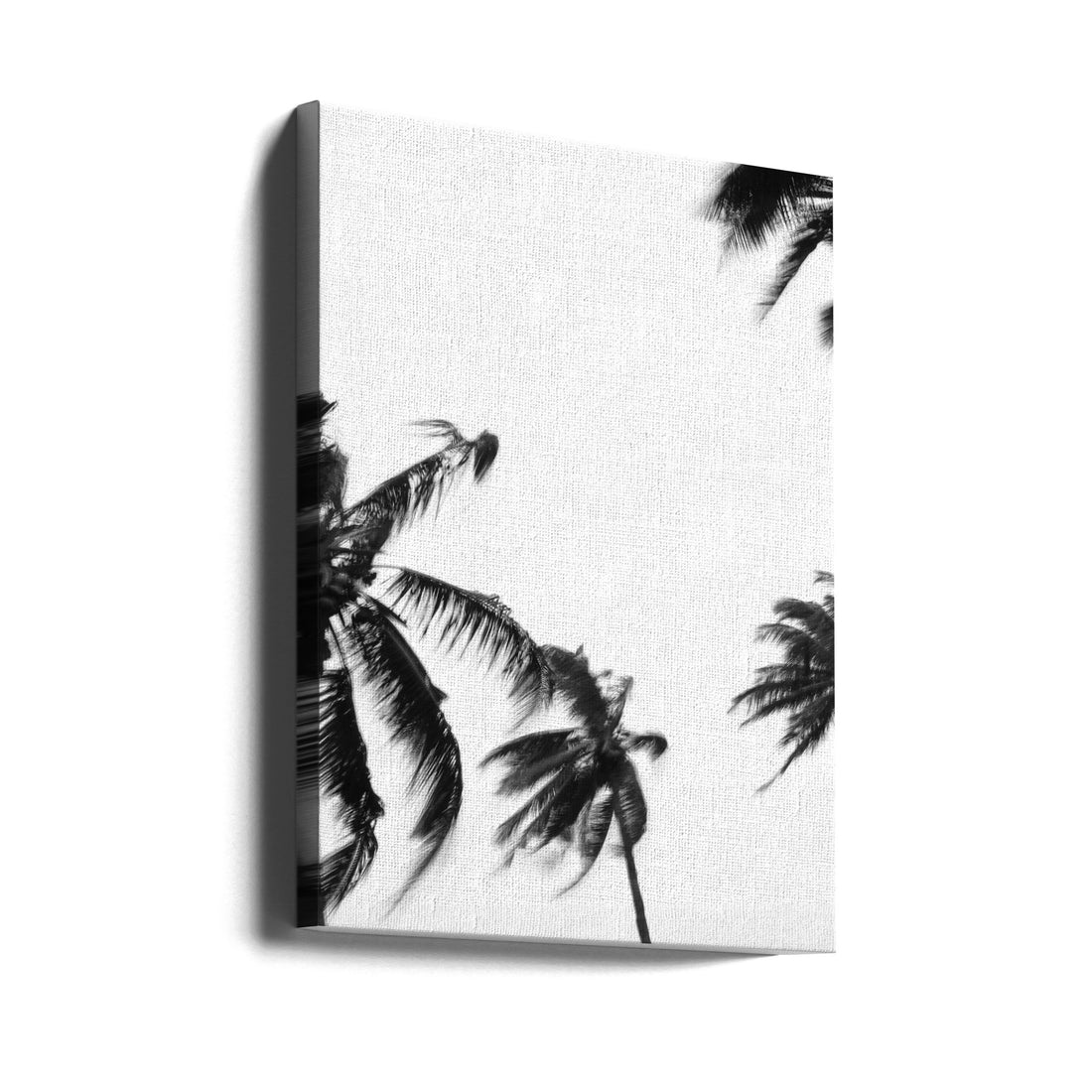 Coco Island No4 by Shot By Clint | Tropical Palm Landscape, Large Canvas Wall Art Print | Artsy Earth