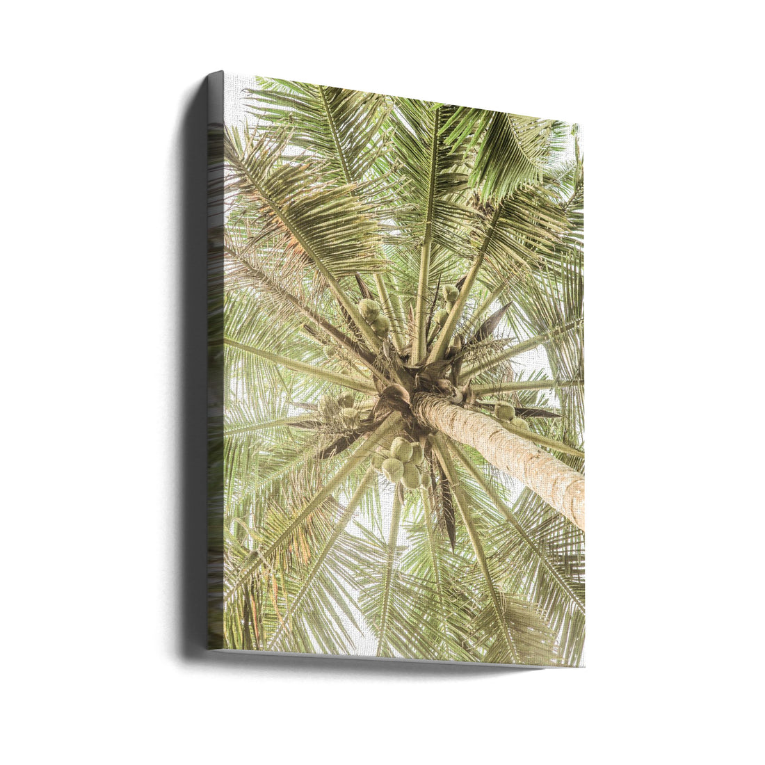 Tropical Palm View by Shot By Clint | Exotic Palm Landscape, Large Canvas Wall Art Print | Artsy Earth