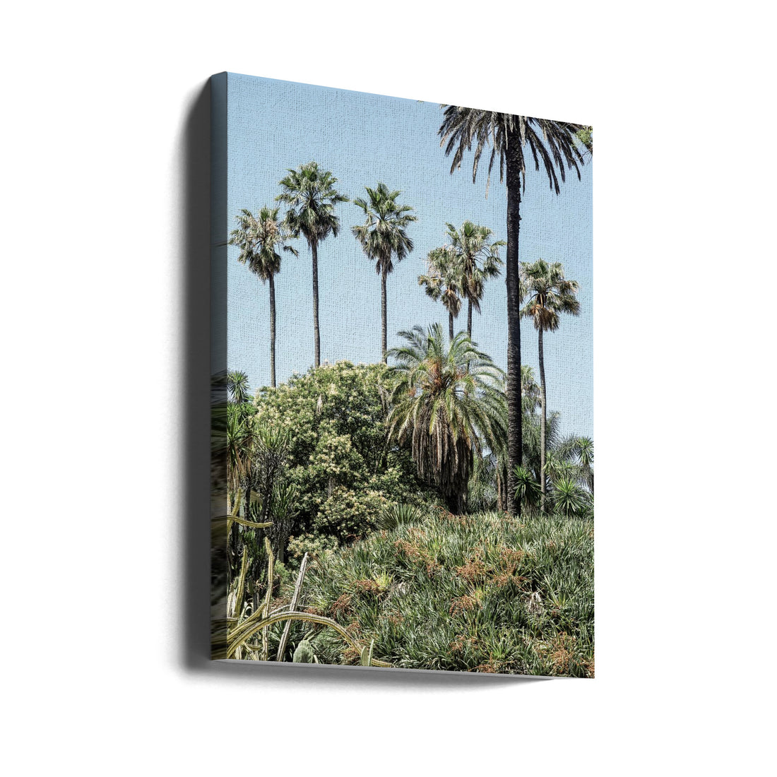 Collectors Garden by Shot By Clint | Tropical Palm Garden, Large Canvas Wall Art Print | Artsy Earth