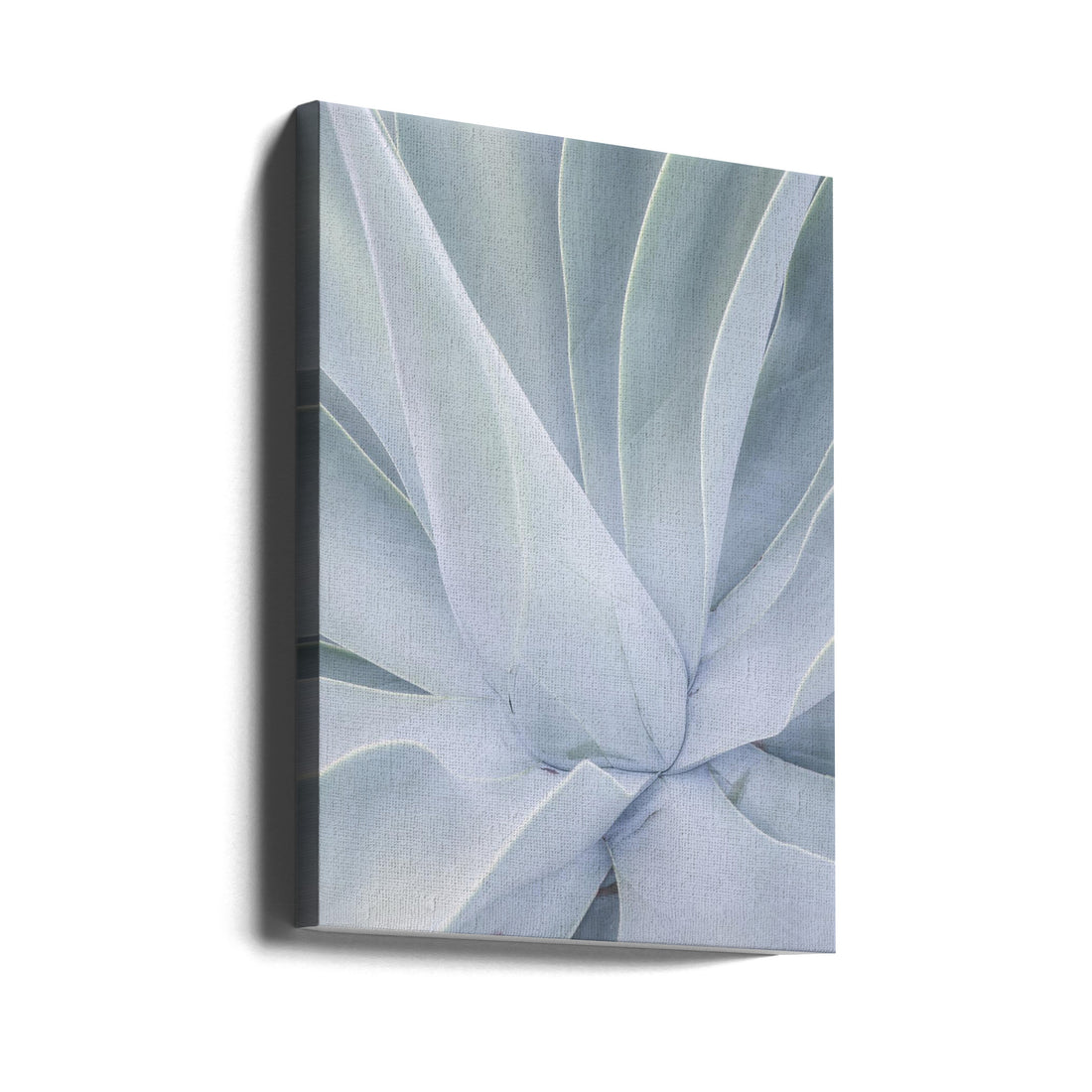 Crystal Cactus No2 by Shot By Clint | Botanical Succulent Abstract, Large Canvas Wall Art Print | Artsy Earth