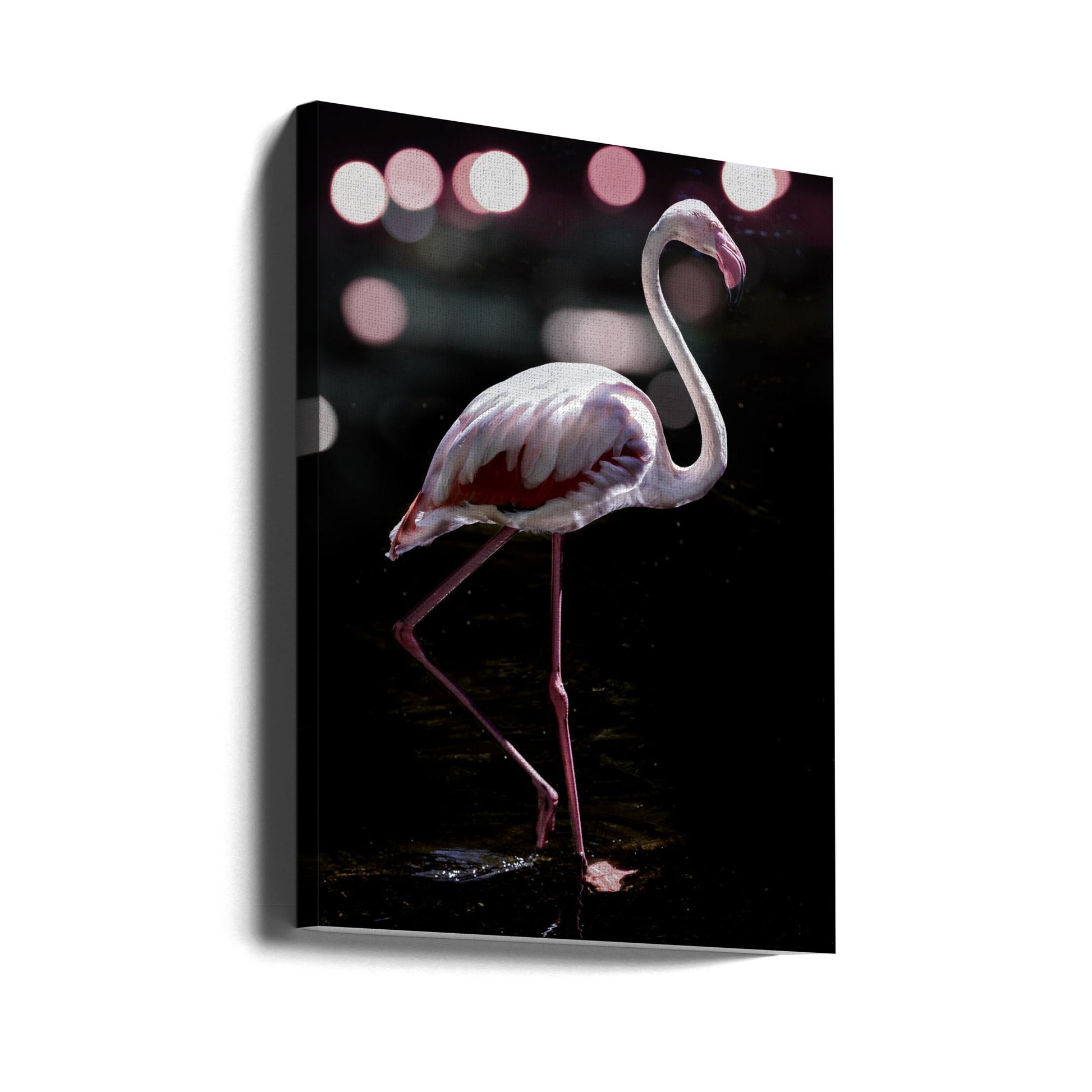 Dancing Flamingo by Shot By Clint | Pink Wildlife Nature, Large Canvas Wall Art Print | Artsy Earth