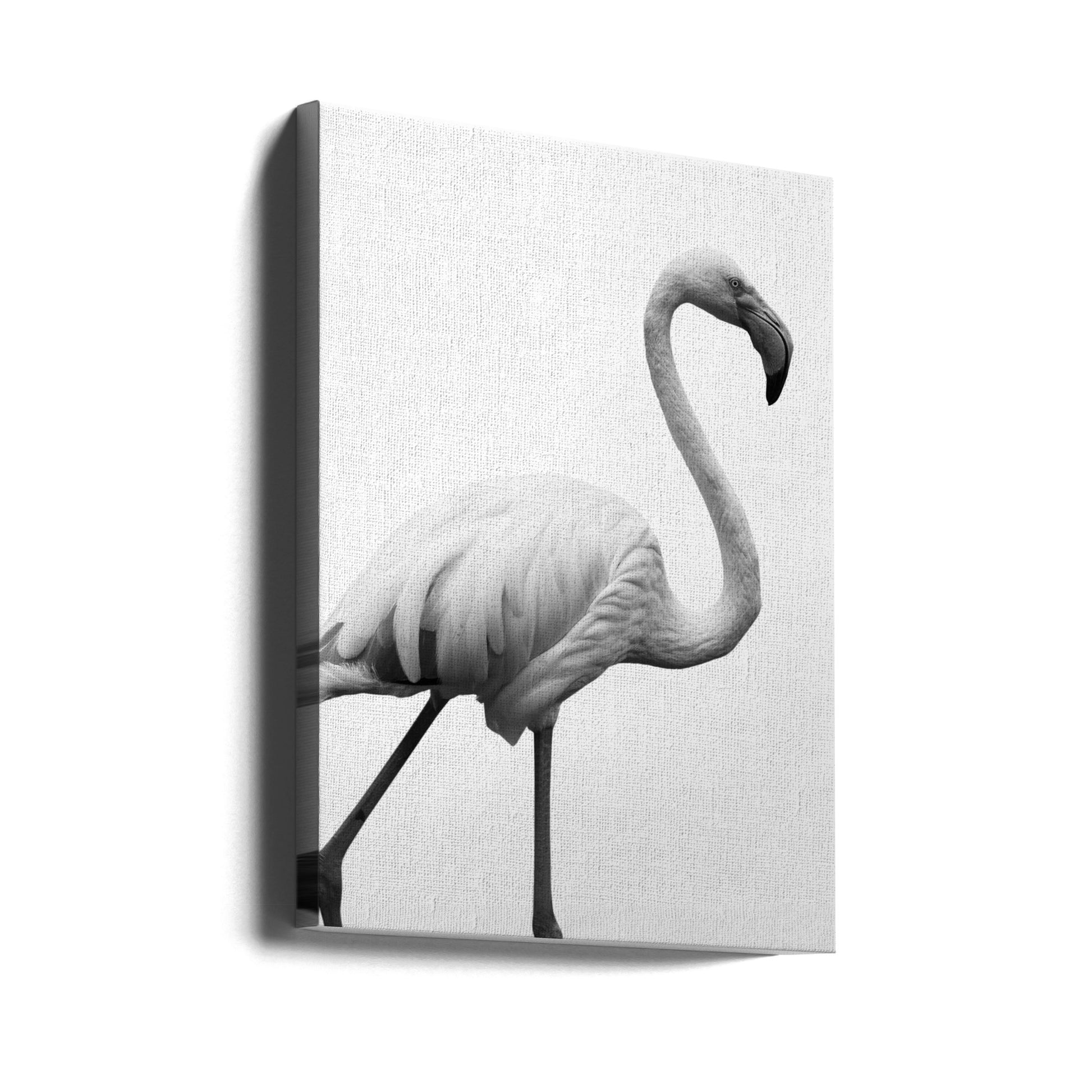 Flamingo Dancer by Shot By Clint | Black And White Wildlife, Large Canvas Wall Art Print | Artsy Earth