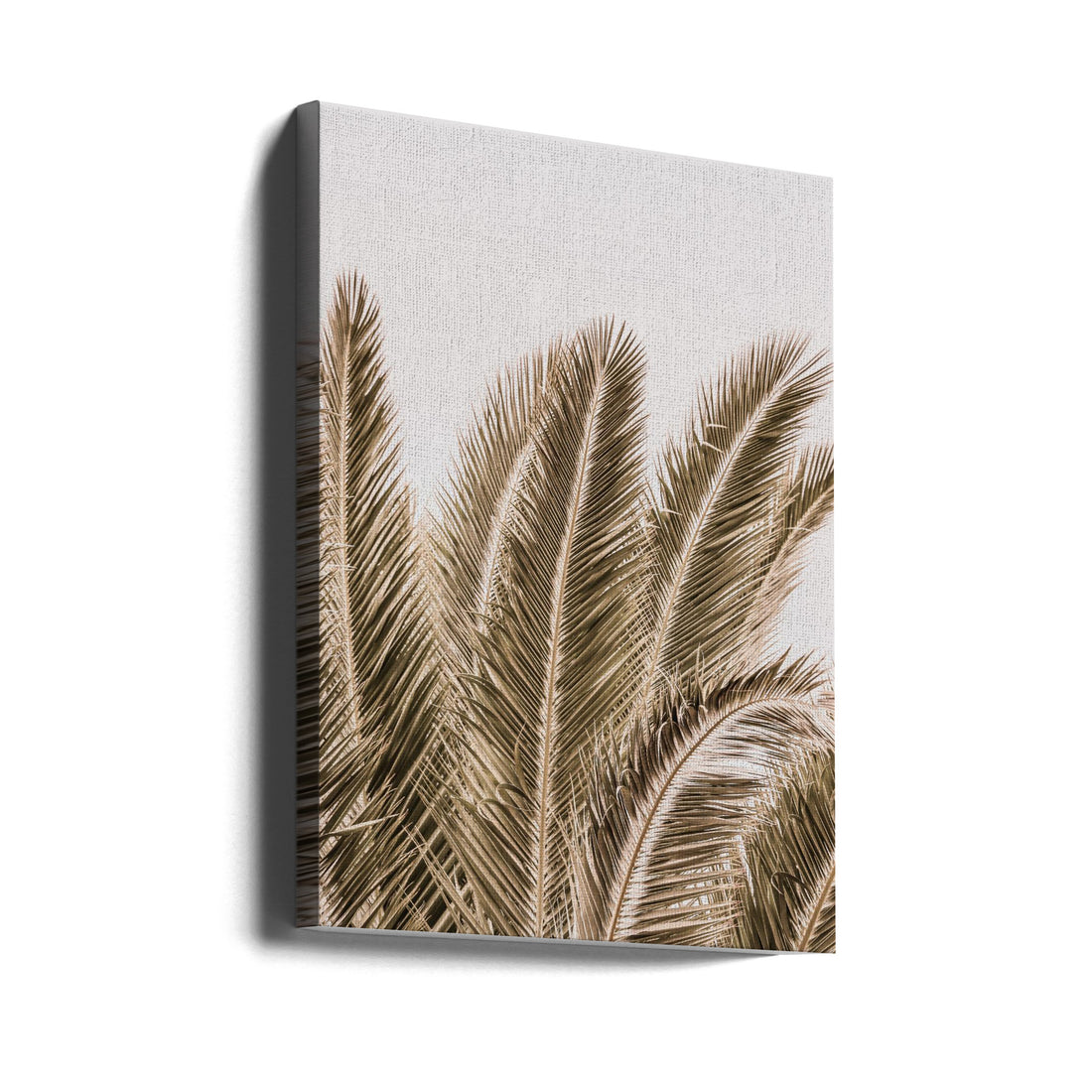 Desert Palm by Shot By Clint | Tropical Palm Tree, Large Canvas Wall Art Print | Artsy Earth