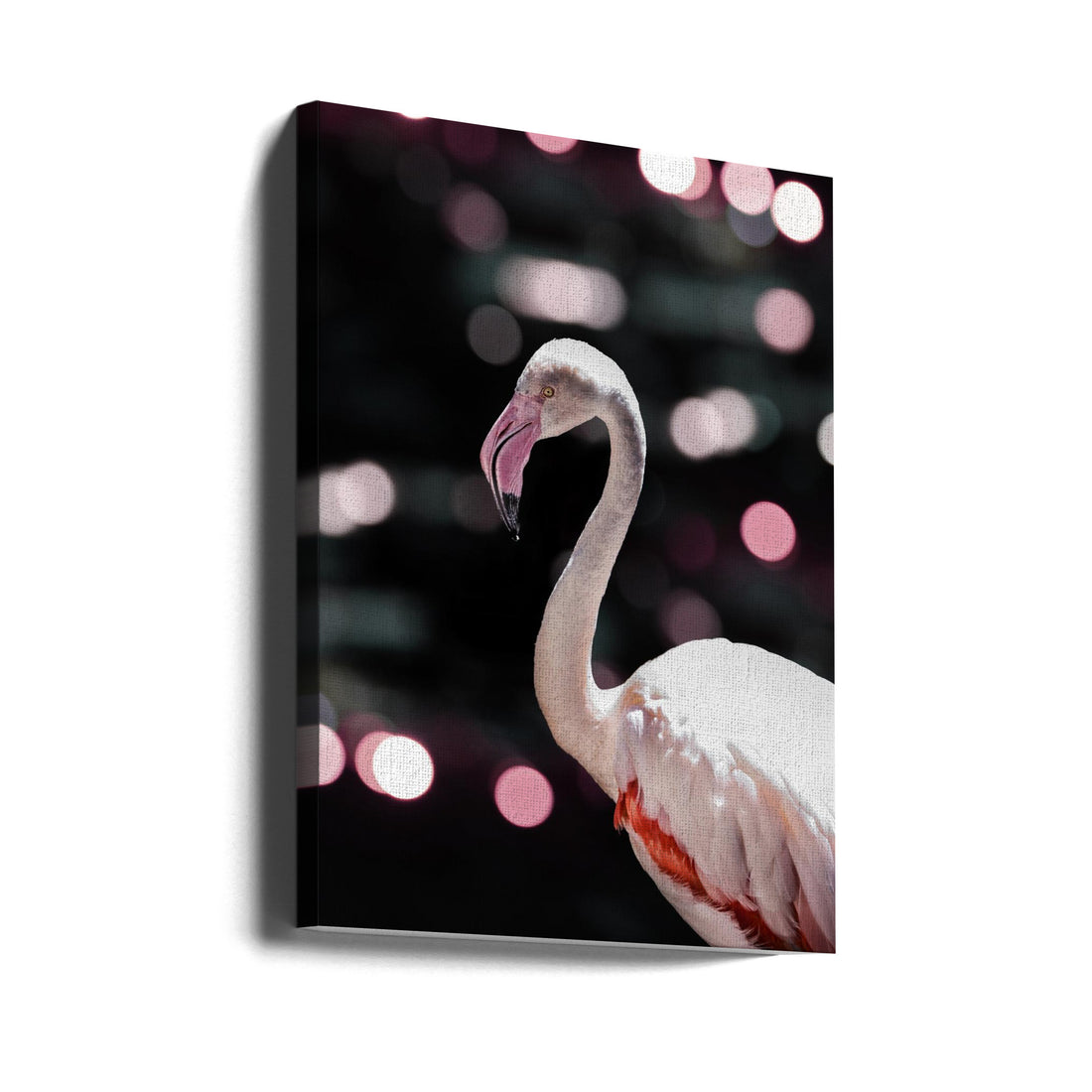 Disco Flamingo by Shot By Clint | Pink Wildlife Bird, Large Canvas Wall Art Print | Artsy Earth