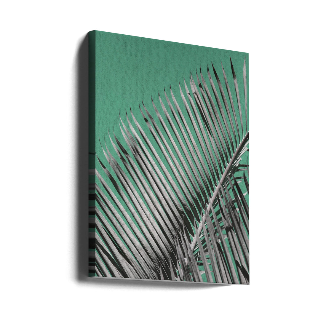 Tropical Palm Frond by Shot By Clint | Botanical Palm Leaf, Large Canvas Wall Art Print | Artsy Earth