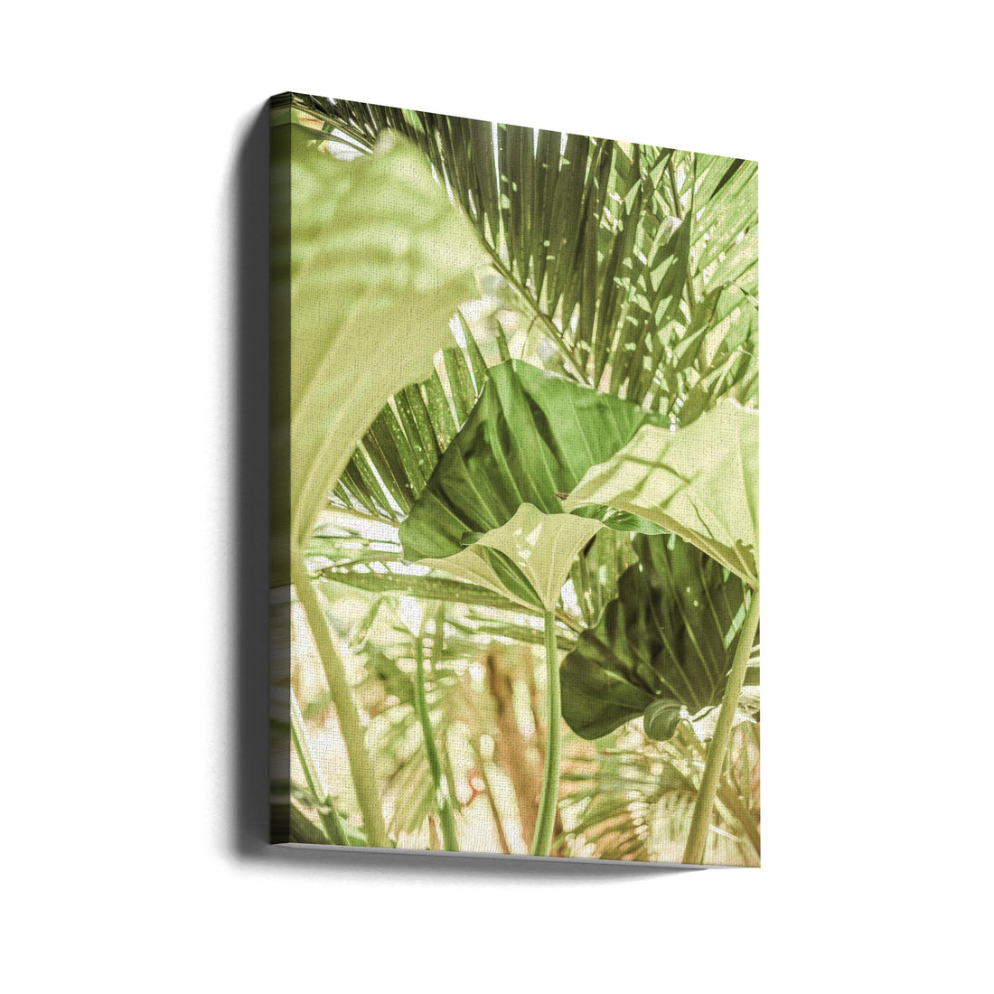 Garden Salad by Shot By Clint | Fresh Green Botanical, Large Canvas Wall Art Print | Artsy Earth